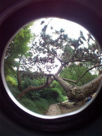 中国旅行記・博物館他写真館＠上海植物園観光